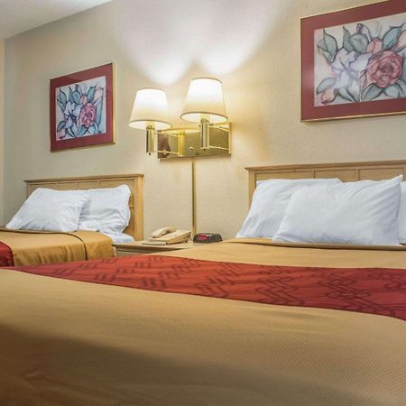 Econo Lodge DeWitt I-90 Buitenkant foto